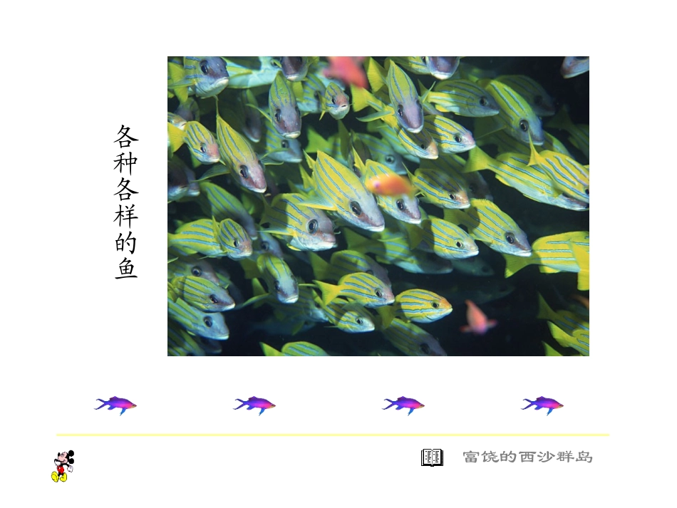 22《富饶的西沙群岛》ppt课件2_第1页