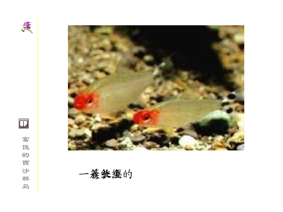 22《富饶的西沙群岛》ppt课件2_第3页
