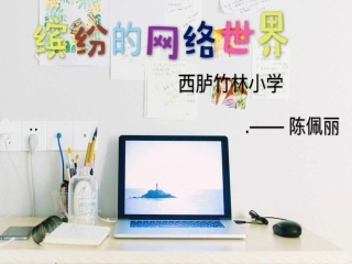 6、缤纷的网络世界