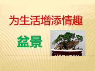 第十二课多样的统一——居住空间中的设计元素