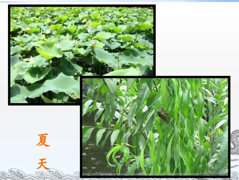 秋天--北关小学席鹏_第2页