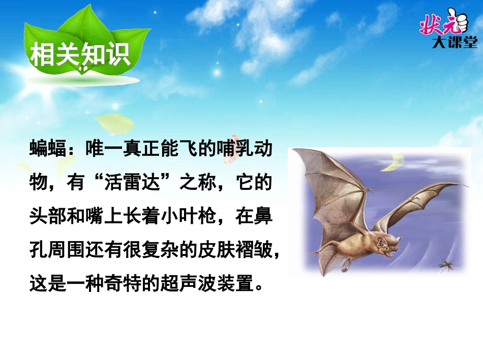 12夜晚的实验_第3页