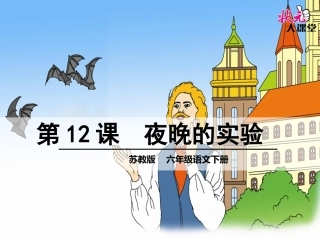 12夜晚的实验
