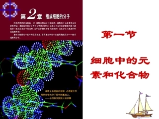 细胞中的元素和化合物
