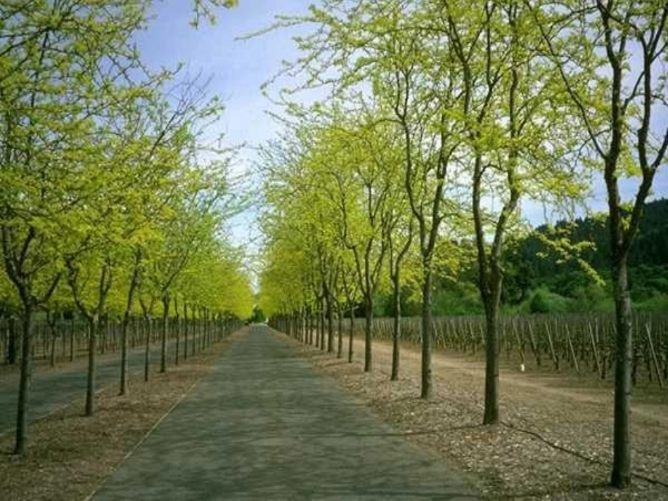 大自然的语言(上课)_第1页