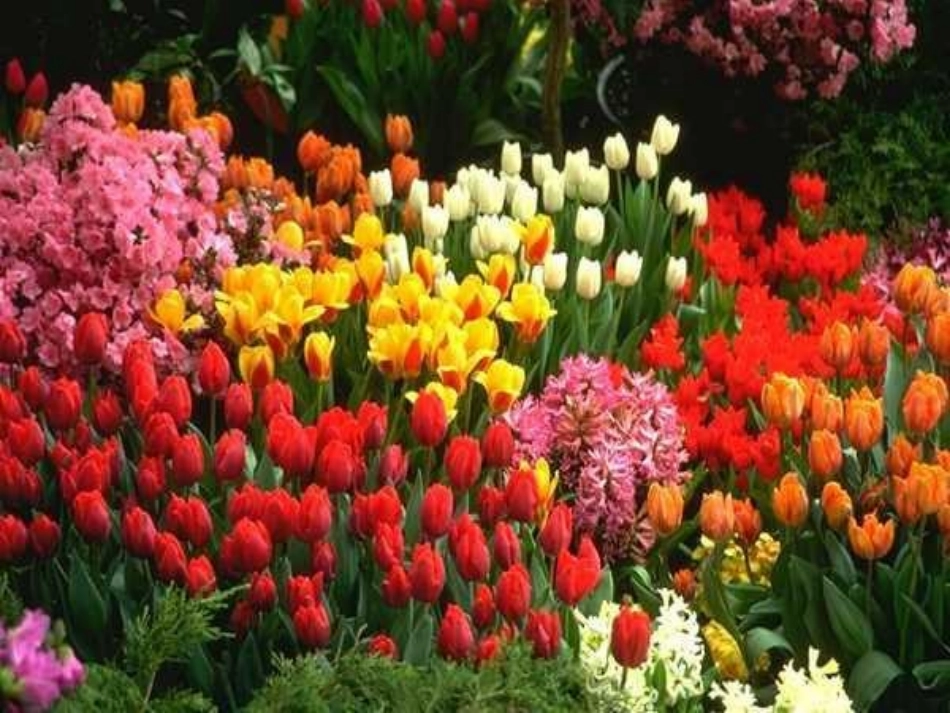 大自然的语言(上课)_第2页