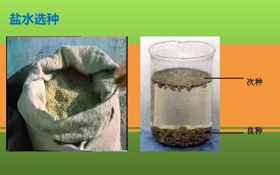 第四节密度知识的应用_第2页