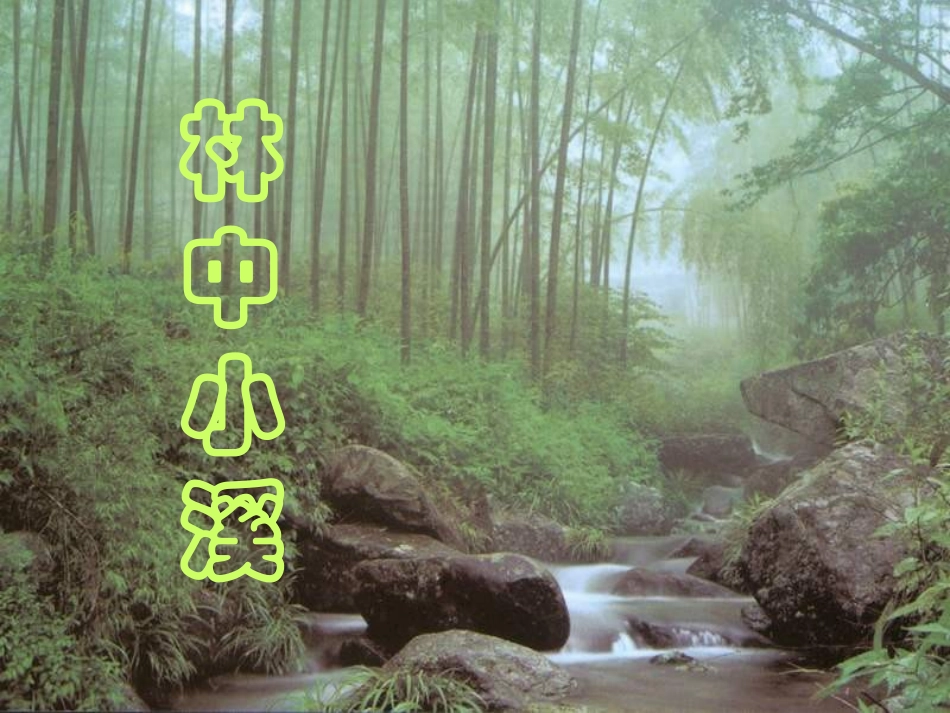 林中小溪(课件)_第1页