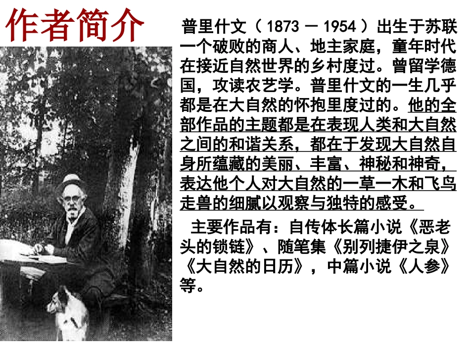 林中小溪(课件)_第2页