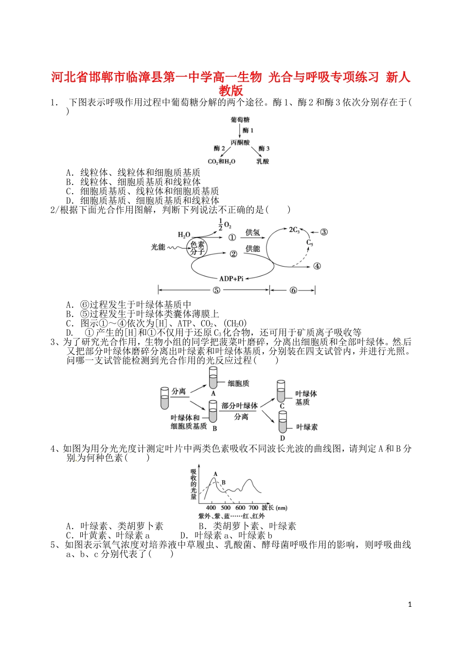 河北省邯郸市临漳县第一中学高一生物-光合与呼吸专项练习-新人教版_第1页