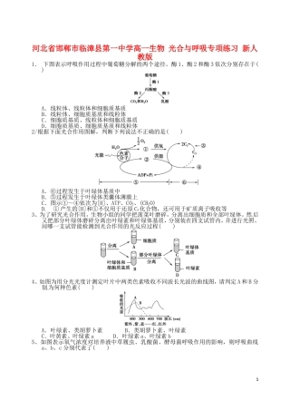 河北省邯郸市临漳县第一中学高一生物-光合与呼吸专项练习-新人教版