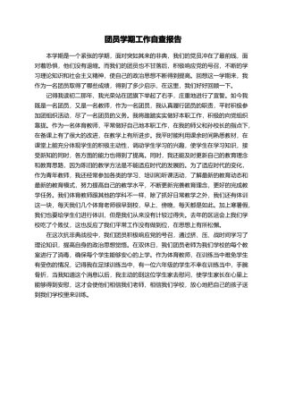 团员学期工作自查报告