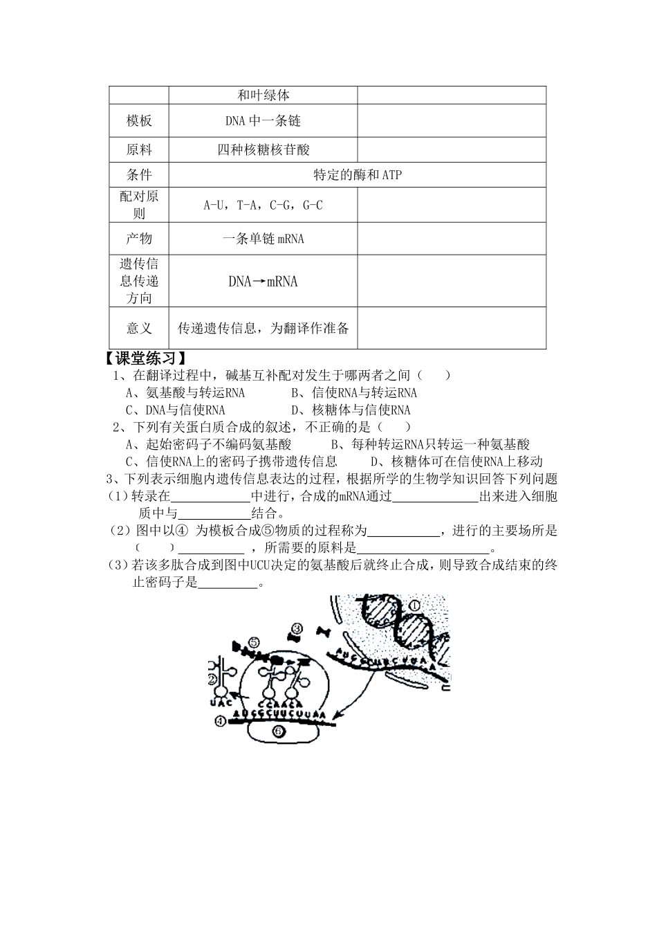 一基因控制蛋白质的合成_第2页