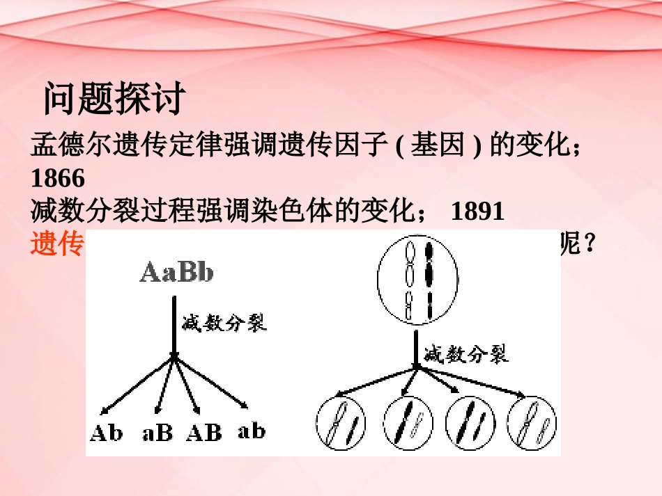 高中生物-2.2-基因在染色体上课件-新人教版必修2_第3页