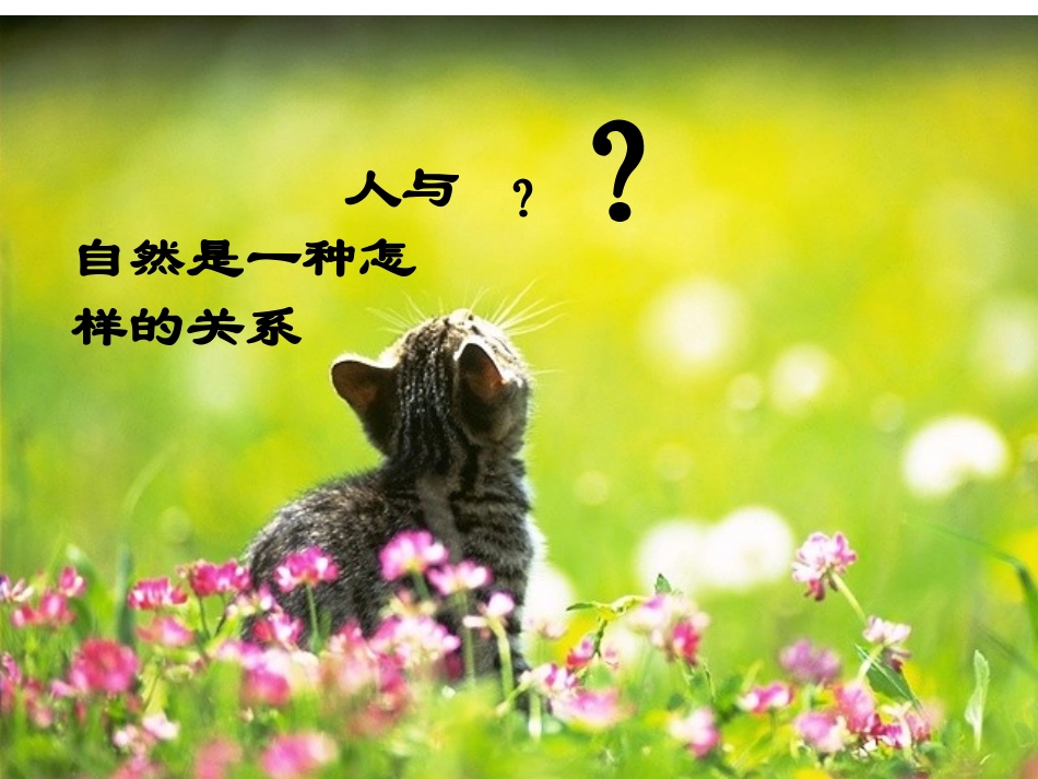 敬畏自然ppt_第1页