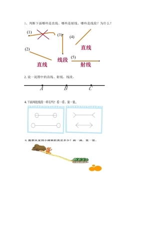小学数学北师大2011课标版四年级《线的认识》评测练习