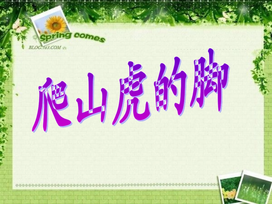 爬山虎的脚课件(1)_第1页