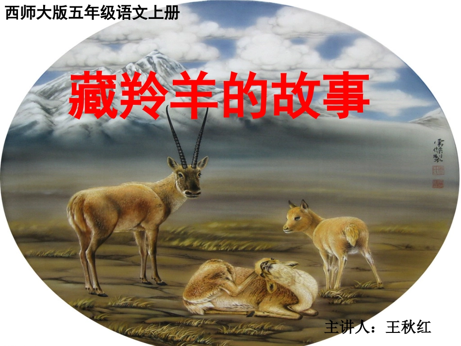 7藏羚羊的故事_第1页
