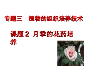 课题2-月季的花药培养-(4)