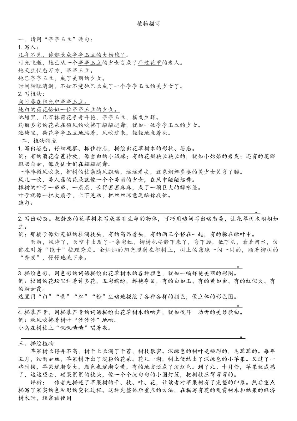 亭亭玉立-仿写姿动色声—师_第1页