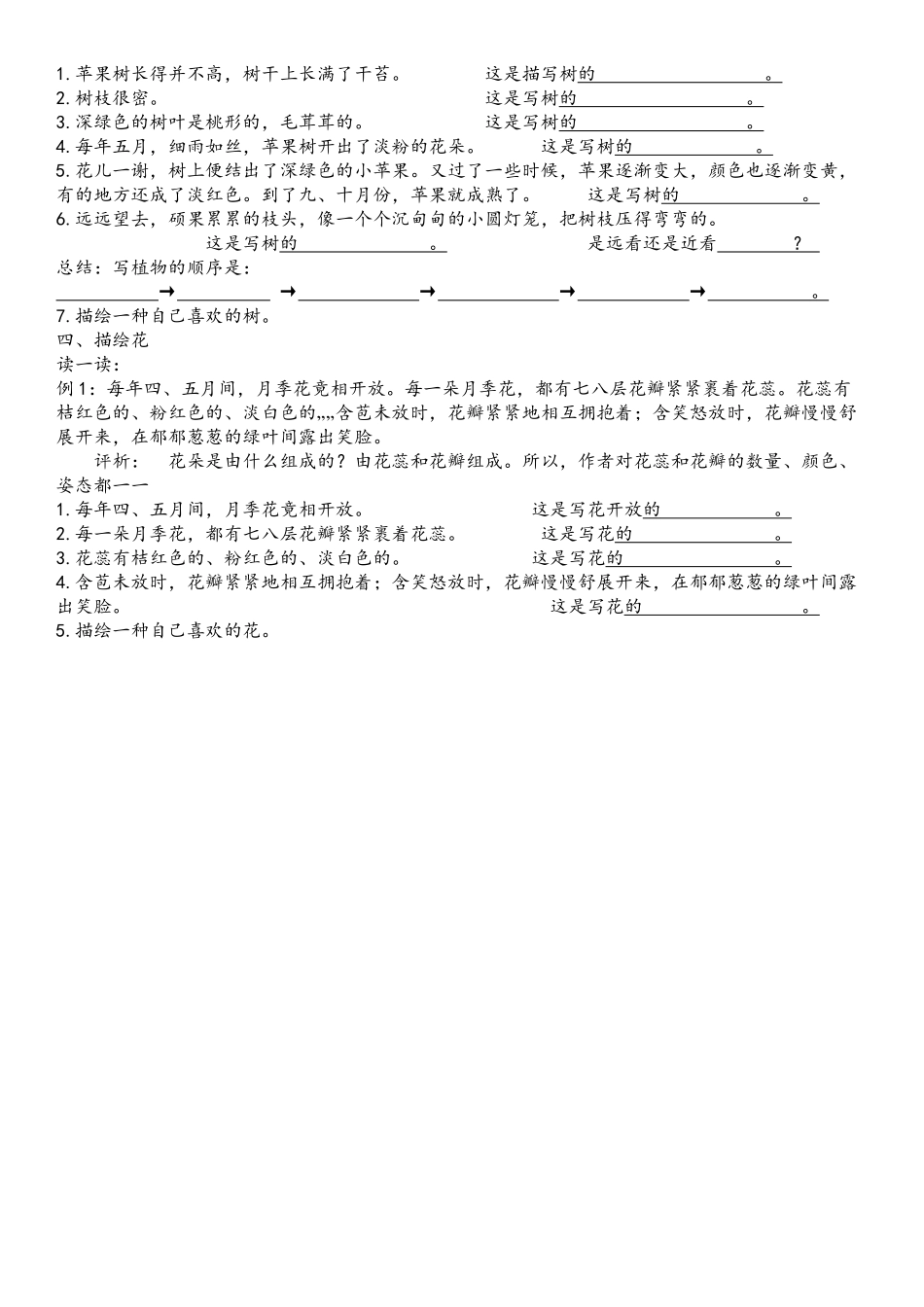 亭亭玉立-仿写姿动色声—师_第2页