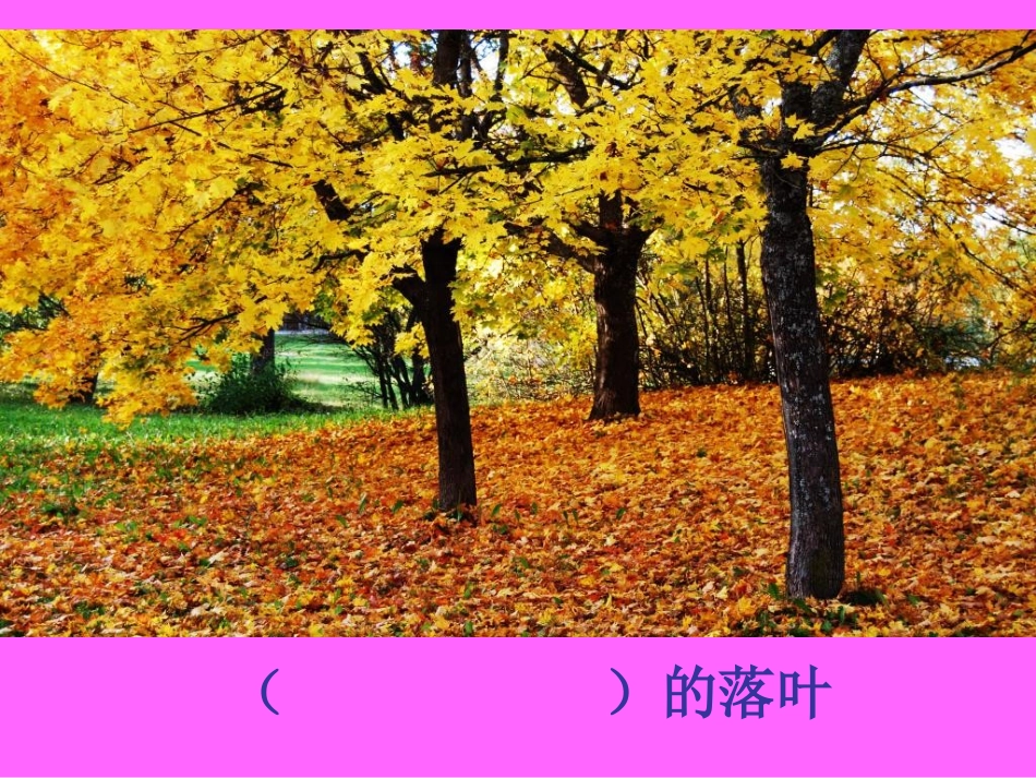 蓝色的树叶(识字)_第1页