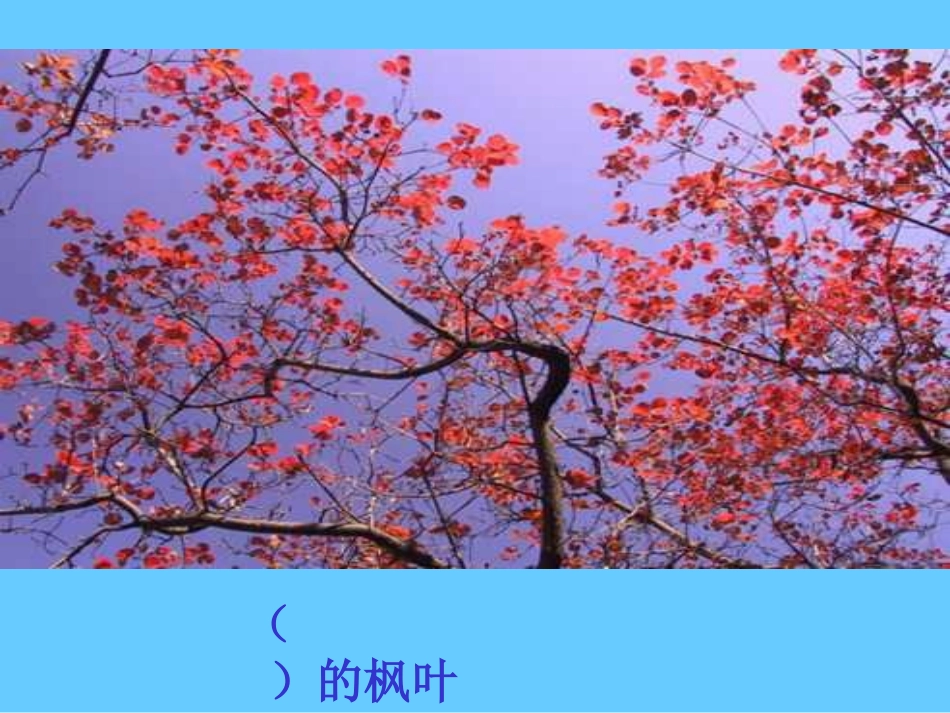 蓝色的树叶(识字)_第2页