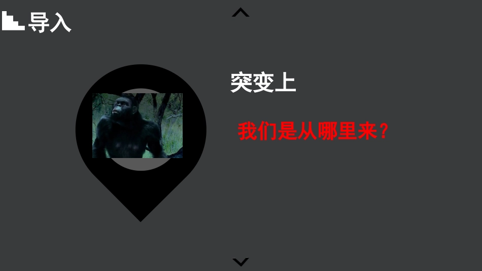 第4节人类的起源和进化_第3页