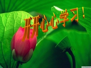 (部编)人教语文2011课标版一年级下册13-荷叶圆圆-(2)