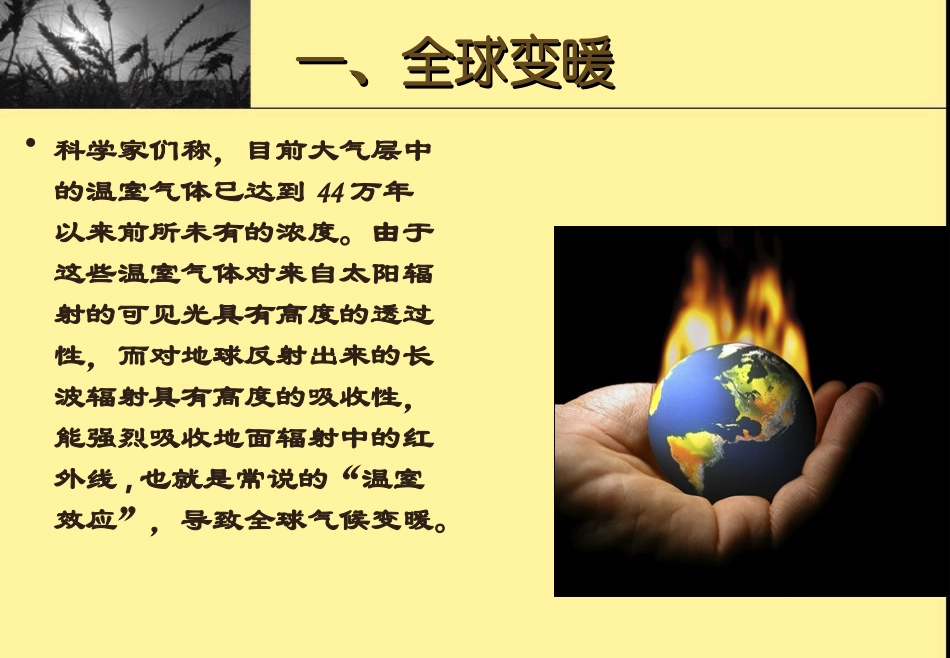 当今面临的生态危机_第2页