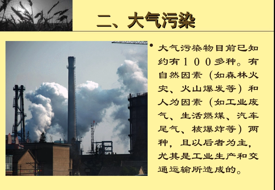 当今面临的生态危机_第3页