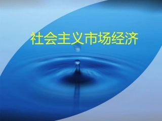 社会主义市场经济