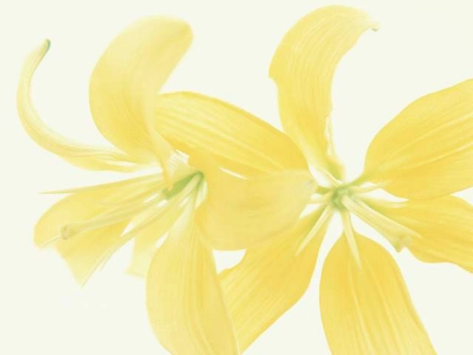 2.3数轴第一课时_第1页