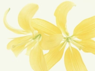 2.3数轴第一课时