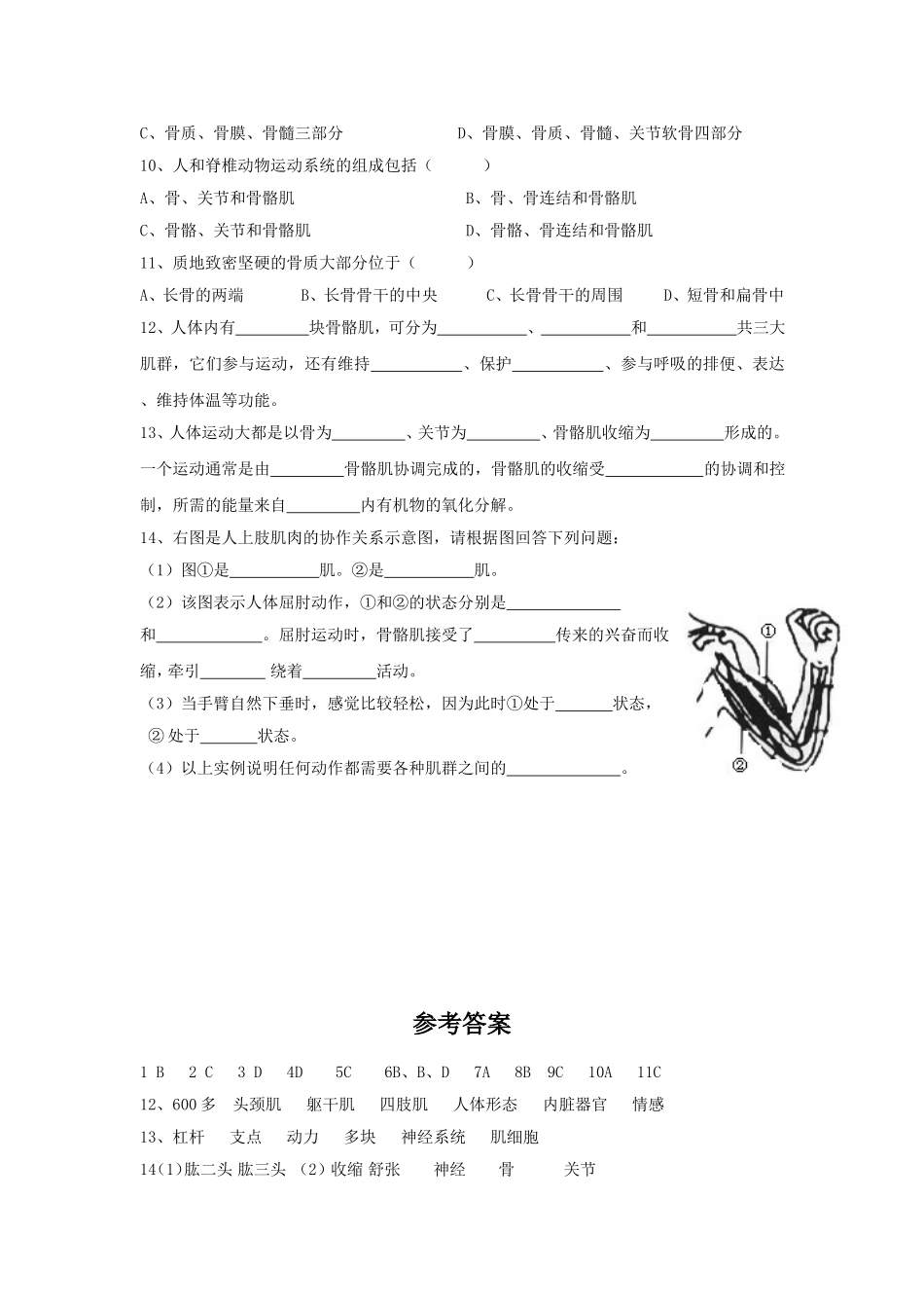《第2节-动物运动的形成》-同步练习1_第2页