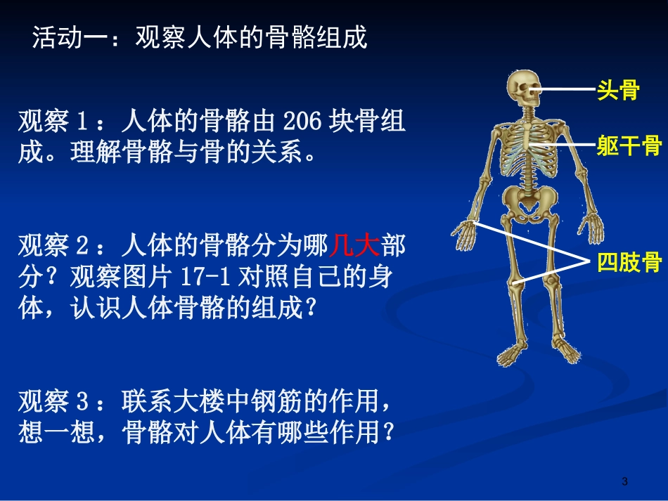 第1节人体的运动_第3页