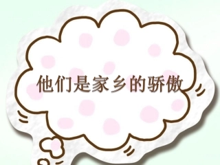 《13-他们是家乡的骄傲》课件