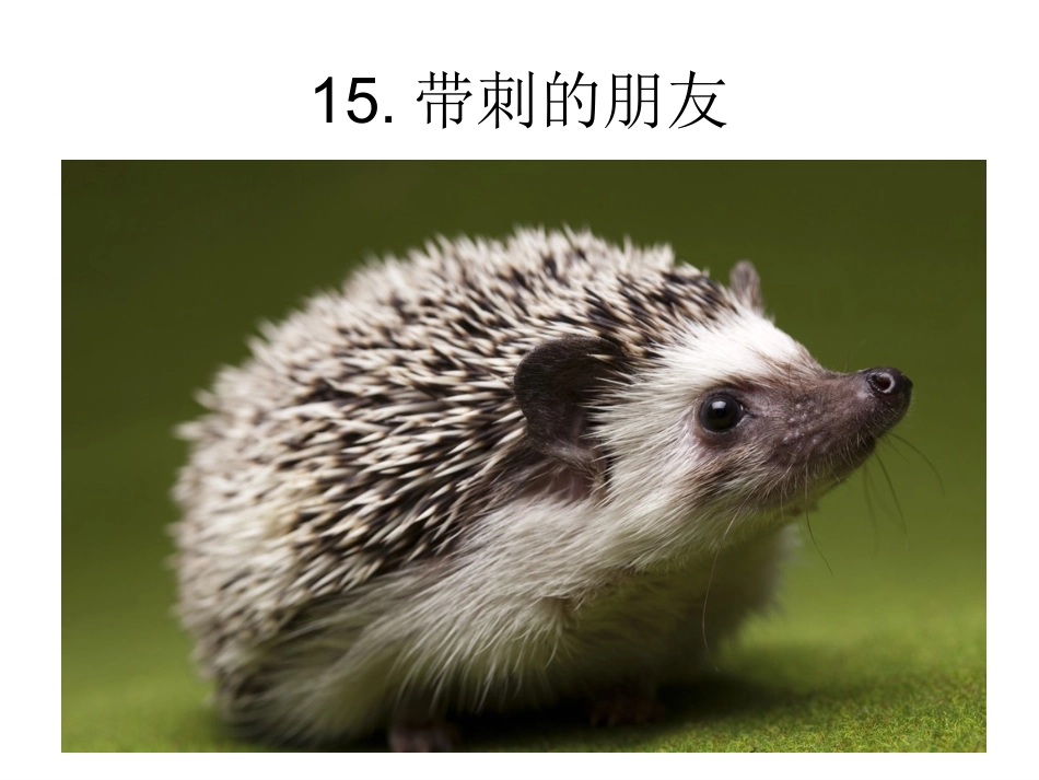 15带刺的朋友_第1页