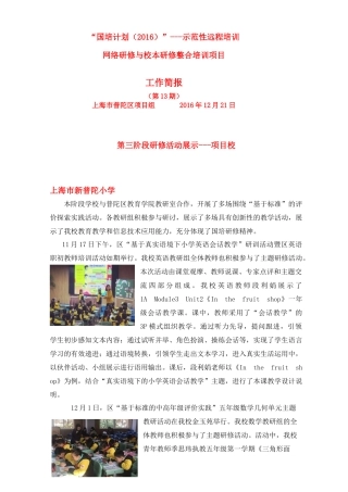 上海市普陀区项目组--第十三期简报