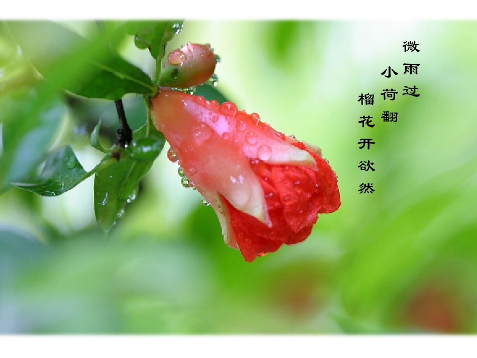 19.水乡行_第3页