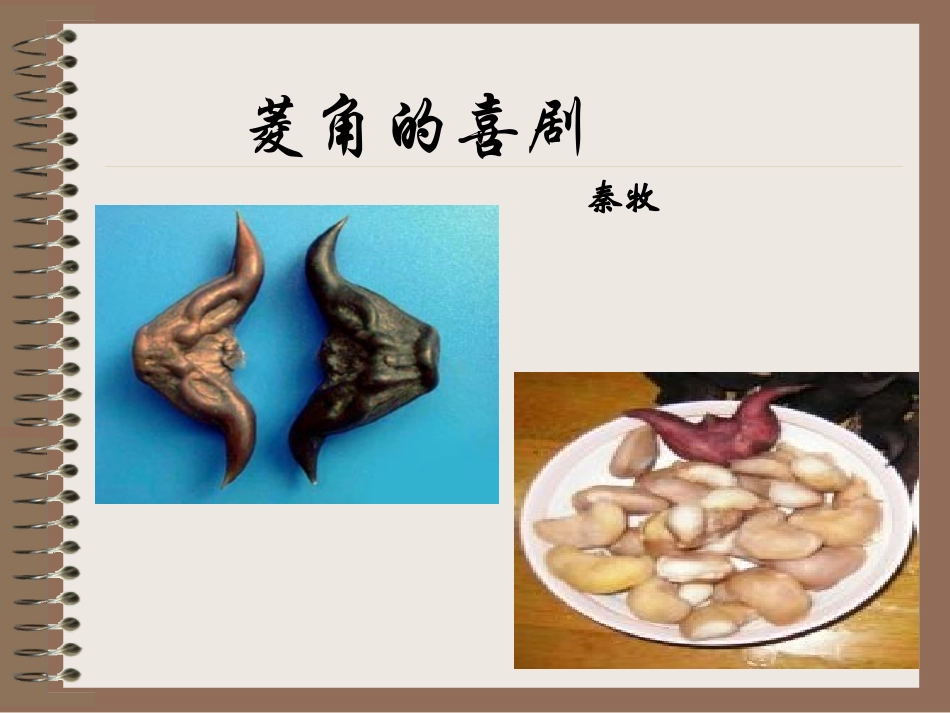 10菱角的喜剧_第1页