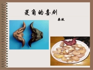 10菱角的喜剧