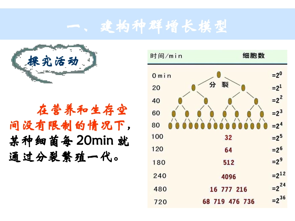 生物课件5.2-种群的数量变动_第2页