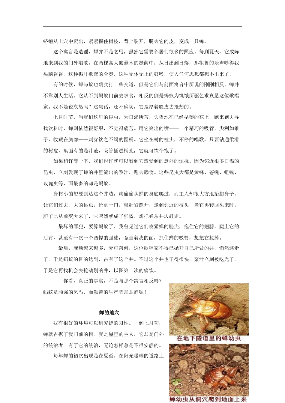 【素材】《装满昆虫的衣袋》拓展阅读《昆虫记》节选(苏教)-(2)_第2页