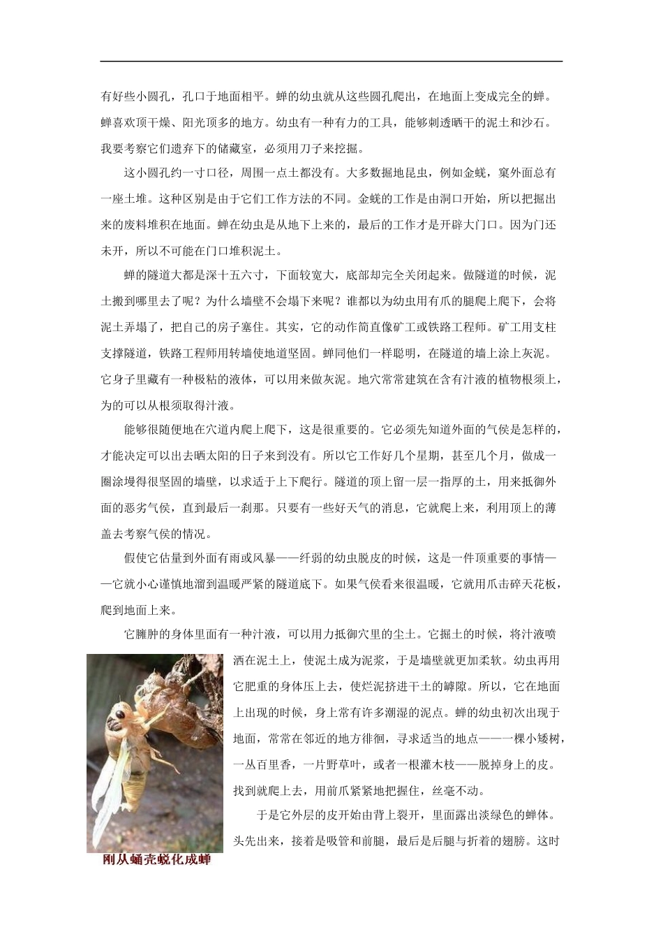 【素材】《装满昆虫的衣袋》拓展阅读《昆虫记》节选(苏教)-(2)_第3页