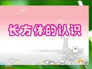 《长方体的认识》