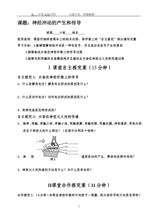 8.神经冲动的产生和传导