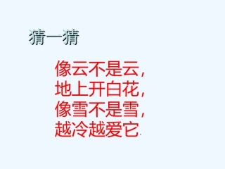 (部编)人教语文2011课标版一年级下册《棉花姑娘》教学课件-(4)