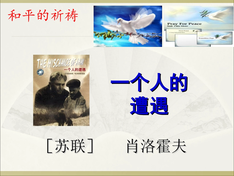 一个人的遭遇(节选)_第1页