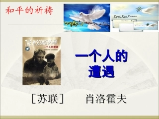 一个人的遭遇(节选)